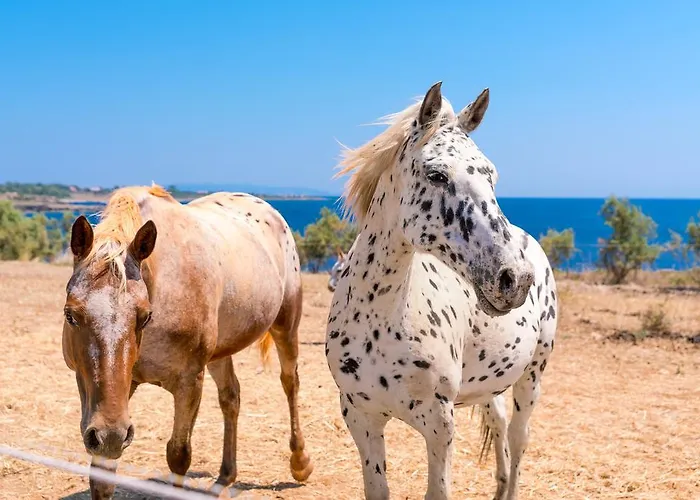 Skinos Ilivatos Eco Villa&estate